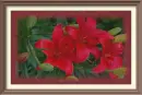 Red lily in the rain