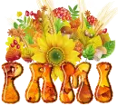 Pami