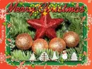 Merry Christmas - by Robbie