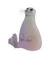 grey phoca