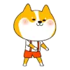funny dog