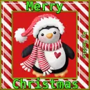 Merry Christmas - by Robbie