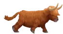 running mountain cow
