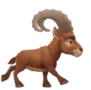 running chamois