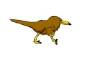 brown bird