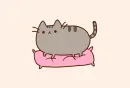 cat working