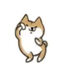 cat dancing