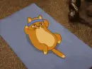 cat gymnastic
