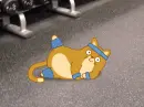 cat gymnastic