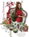 Merry Christmas!
