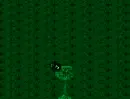 Glasses Of Emerald For Truth