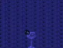 Glasses Of Sapphire For Wisdom