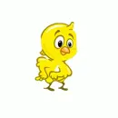 chick