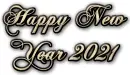 Happy New Year 2021
