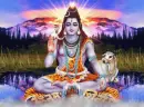 Shiva