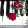 rose on piano