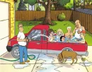 king of the hill