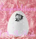Congrats on your bundle