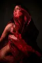 Scarlet Veil