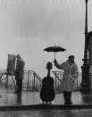 Musician in the Rain