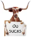Texas longhorns 