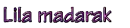 Purple birds