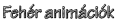 White animations