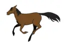brown horse