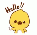 chick