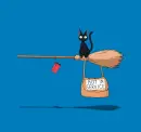 black cat