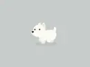 white dog