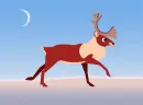moose