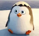 waving penguin