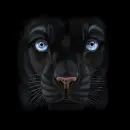 black panther