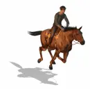 rider