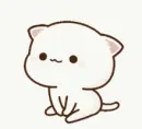 white cat