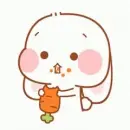 bunny with carrot