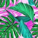Summer Tropical Background