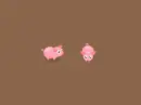 pigs