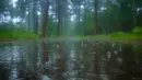 rain