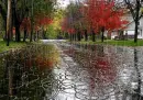 rain