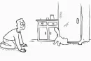 white cat