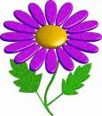 purple flower