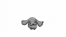 grey dog