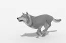 grey wolf