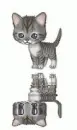 grey kitty