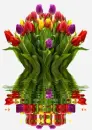 tulip bouquet