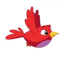 red bird