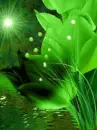 green picture
