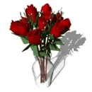 red rosa